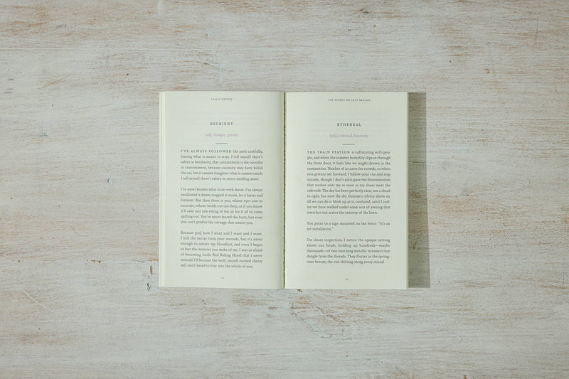 The Words We Left Behind