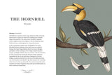 Ornithography by Jessica Roux: Hardcover; 224 pages / English