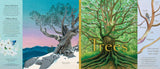 Trees by Tony   Johnston: Hardcover; 40 pages / English
