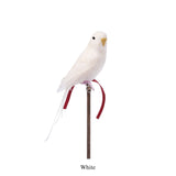 Bonnie the Budgie