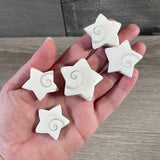 Shiva Shell