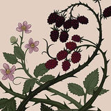 The Illustrated Meditations