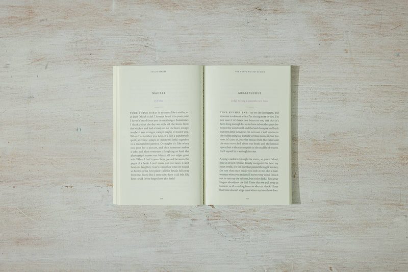 The Words We Left Behind