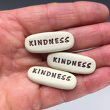 Pocket Meditation - Kindness