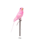 Amma the Budgie