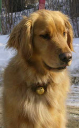 Collar Bell - Black #2