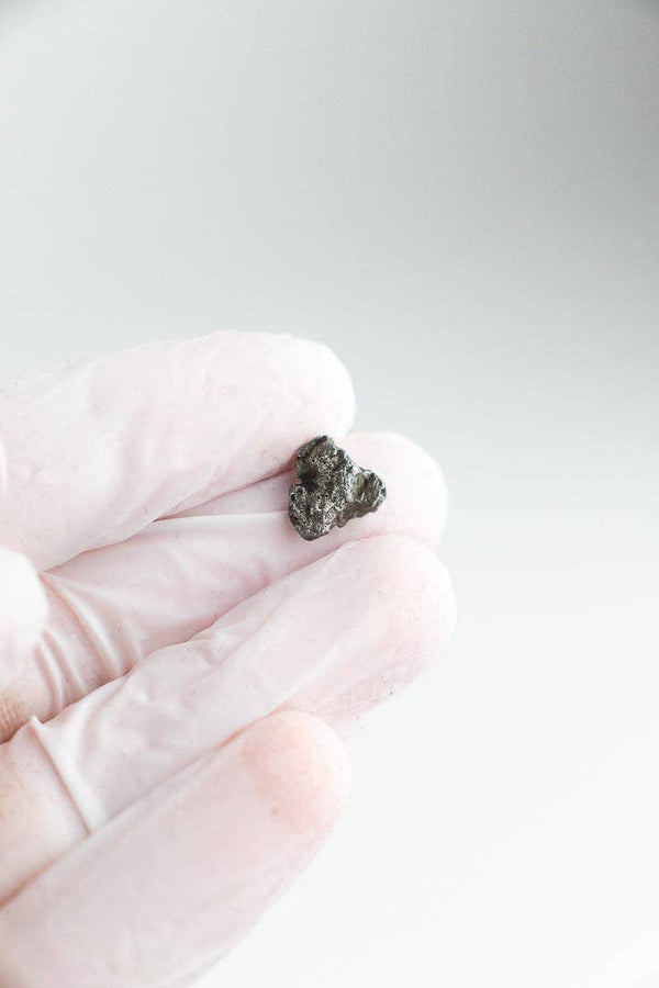 Campo del Cielo Meteorite: 0.2g ± 0.03