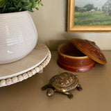 Tina the Turtle Trinket Box