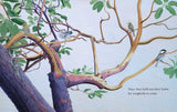 Trees by Tony   Johnston: Hardcover; 40 pages / English