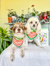 Flower Power Cookies - All Natural, Organic Dog Treats