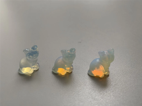Opalite Curious Kitten