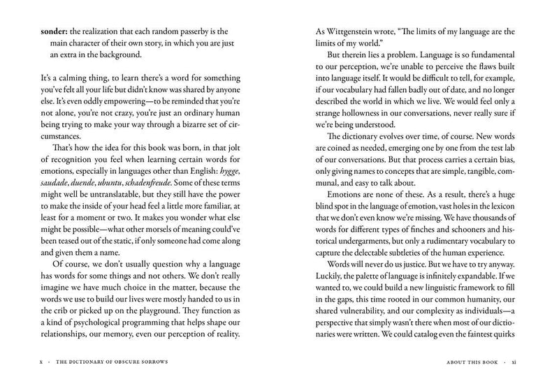 Dictionary of Obscure Sorrows by John Koenig