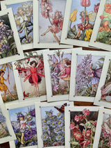 Flower Fairy Postcard