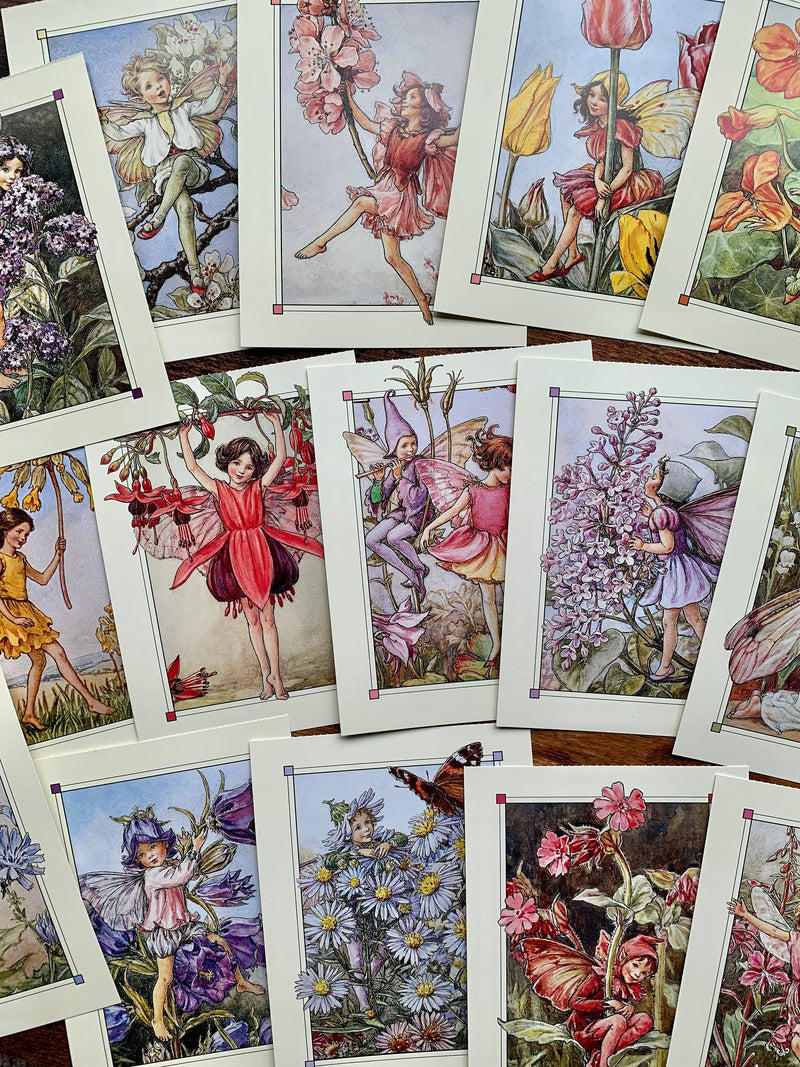 Flower Fairy Postcard