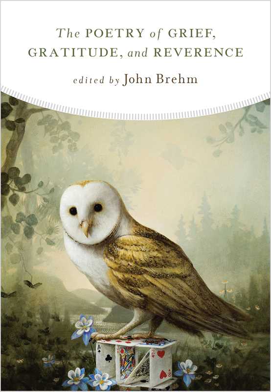 Poetry of Grief, Gratitude, and Reverence by John Brehm: Paperback; 320 pages / English