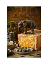 Arpa the Elephant