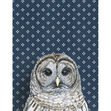 Barred Owl Greeting Card