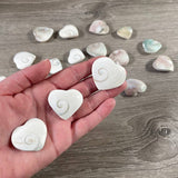 Shiva Shell