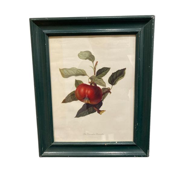 The Devonshire Quarenden - Print