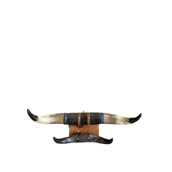 Double Horns