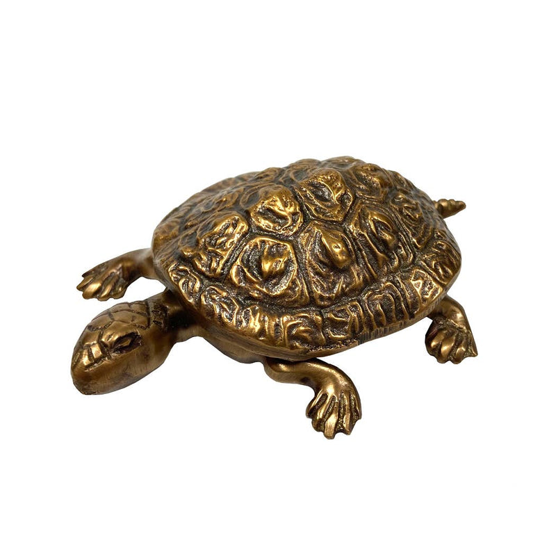 Tina the Turtle Trinket Box