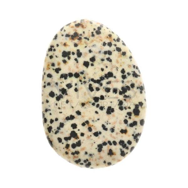 Dalmation Jasper Worry Stone