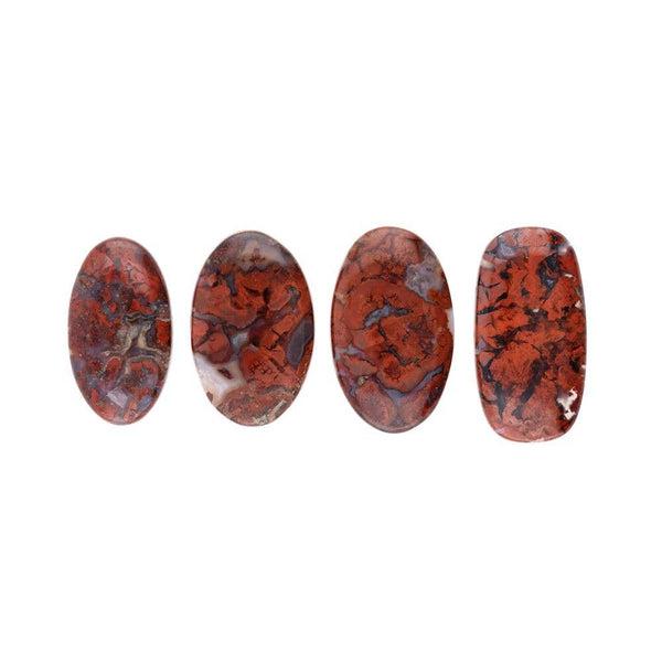 Petrified Wood Cabochon