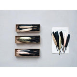 Collection of Feathers - Boxed