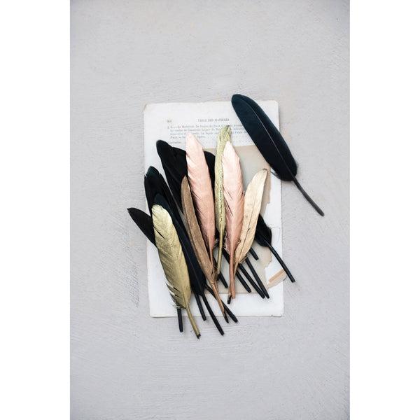 Collection of Feathers - Boxed