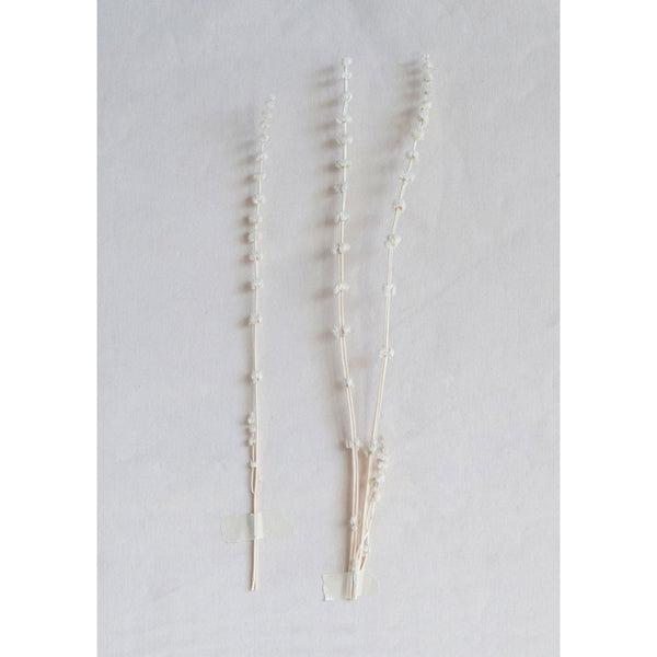 Dried Lion's Tail Bunch