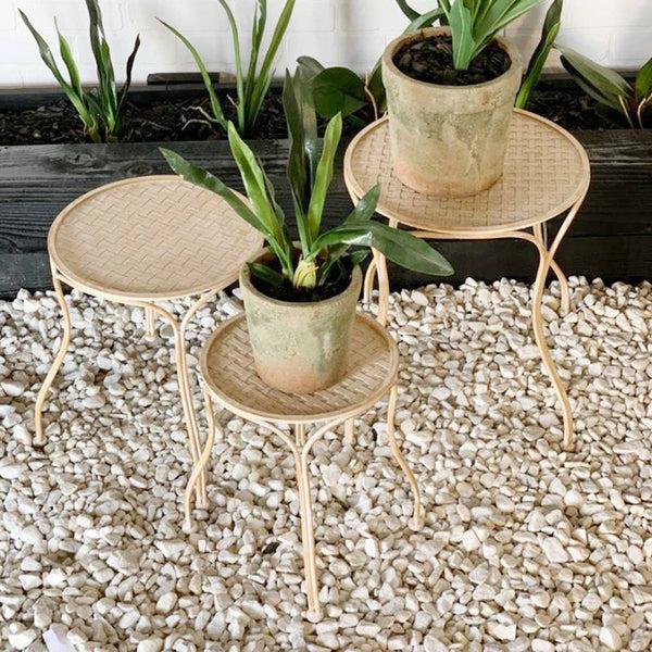 Metal Plant Stand - M