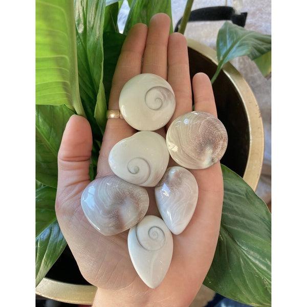 Polished High Quality Shiva Eye Gemstone
