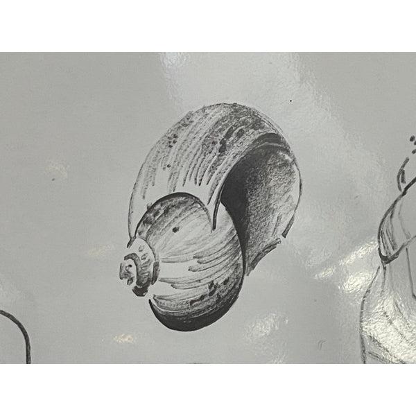 Sally Sells Seashells