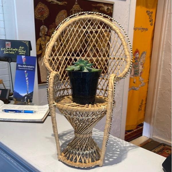 Peacock Chair Plant Stand