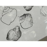 Sally Sells Seashells