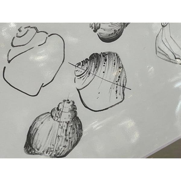 Sally Sells Seashells