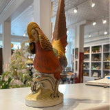Golden Pheasant