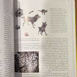 Rita Carter - Mapping the Mind