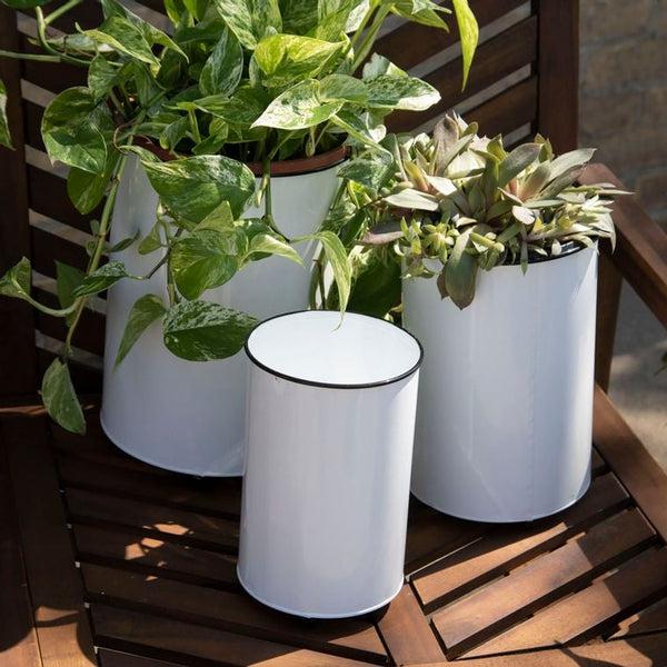 Becky Planter
