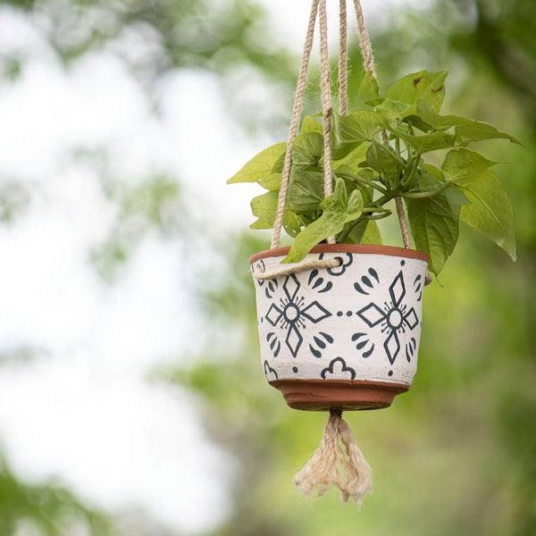 Zocalo Hanging Terracotta Planter