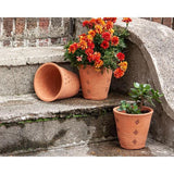 Padma Planter
