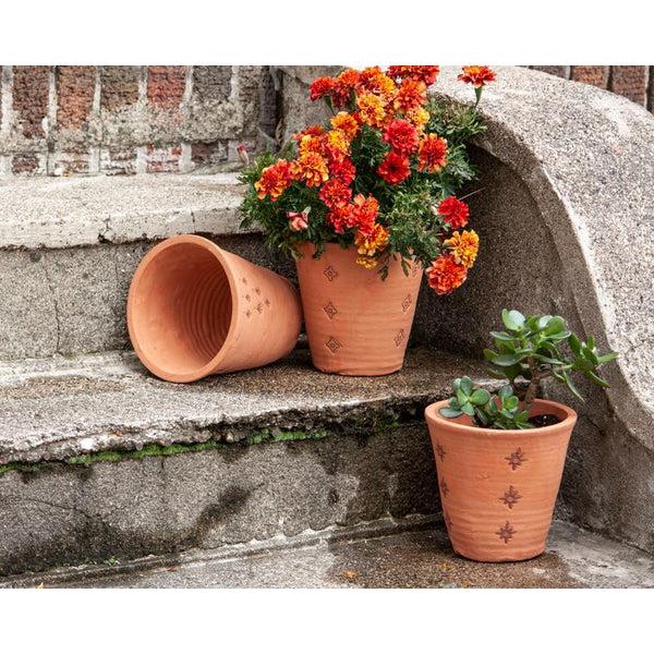 Padma Planter