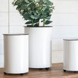 Becky Planter