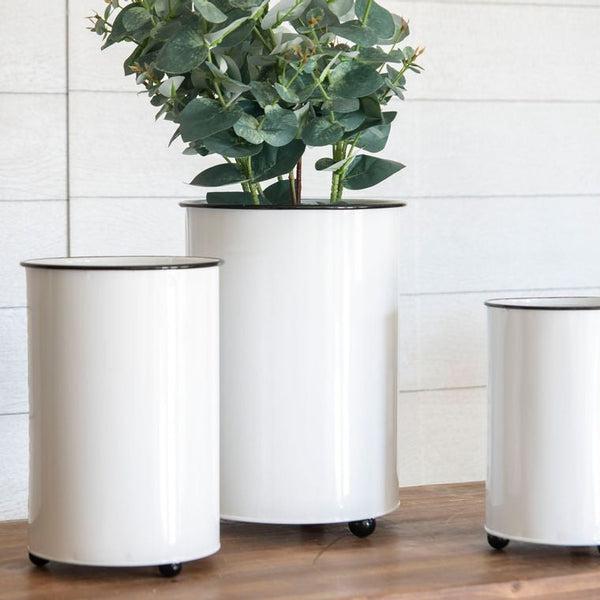 Becky Planter