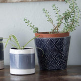 Aster Planter