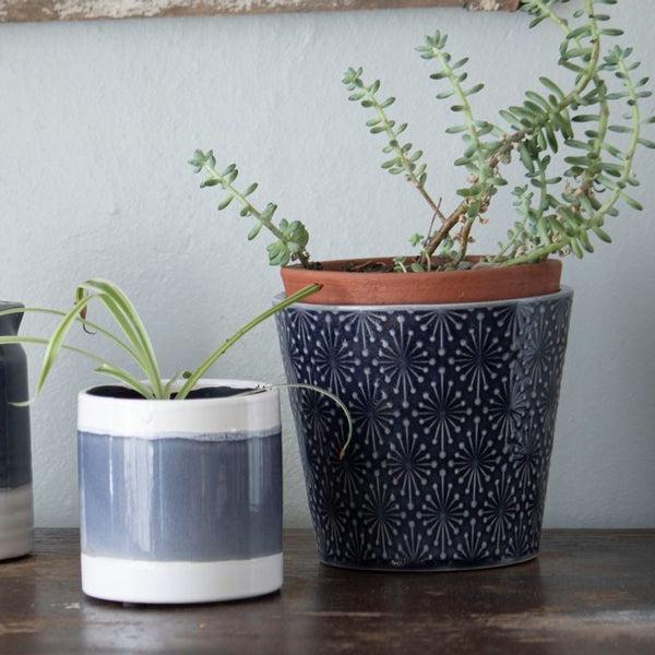 Aster Planter